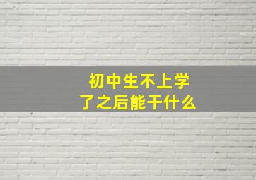 初中生不上学了之后能干什么