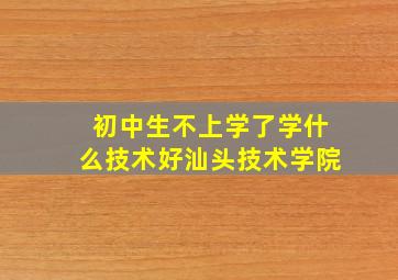 初中生不上学了学什么技术好汕头技术学院