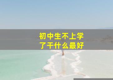 初中生不上学了干什么最好