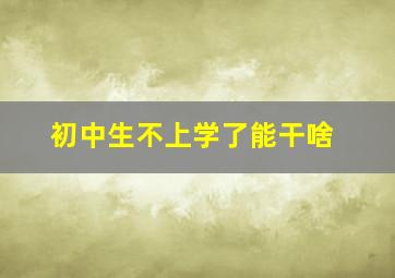 初中生不上学了能干啥