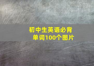 初中生英语必背单词100个图片