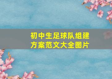 初中生足球队组建方案范文大全图片