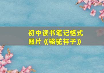 初中读书笔记格式图片《骆驼祥子》