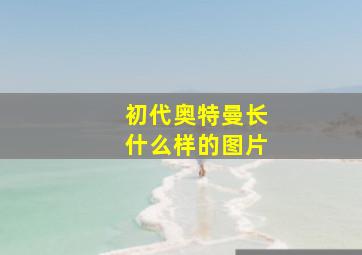 初代奥特曼长什么样的图片