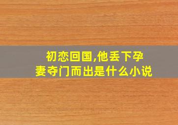 初恋回国,他丢下孕妻夺门而出是什么小说