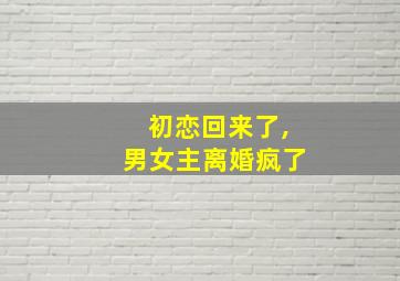 初恋回来了,男女主离婚疯了