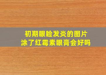 初期眼睑发炎的图片涂了红霉素眼膏会好吗