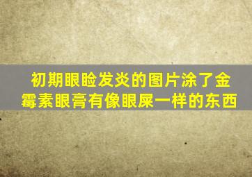 初期眼睑发炎的图片涂了金霉素眼膏有像眼屎一样的东西