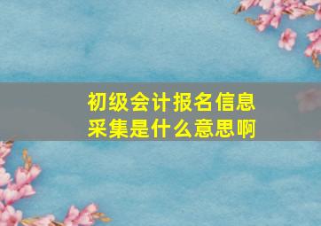 初级会计报名信息采集是什么意思啊