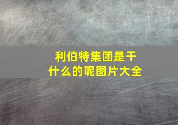 利伯特集团是干什么的呢图片大全