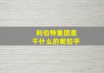 利伯特集团是干什么的呢知乎