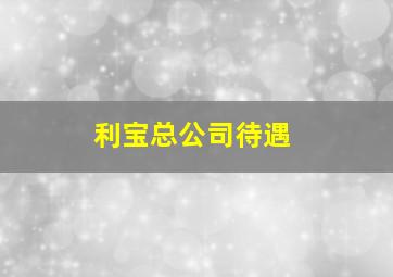 利宝总公司待遇