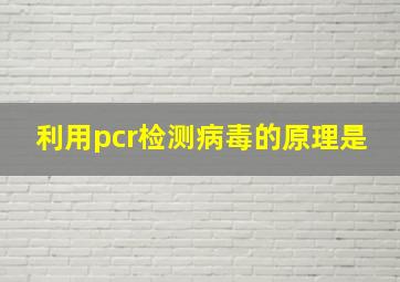 利用pcr检测病毒的原理是