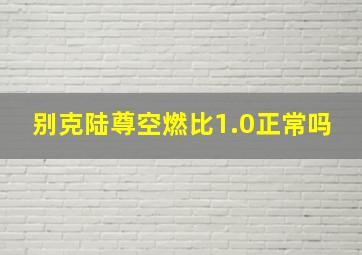 别克陆尊空燃比1.0正常吗