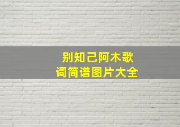 别知己阿木歌词简谱图片大全