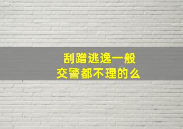 刮蹭逃逸一般交警都不理的么