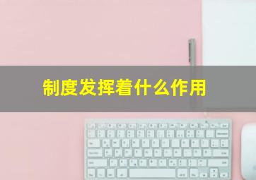 制度发挥着什么作用