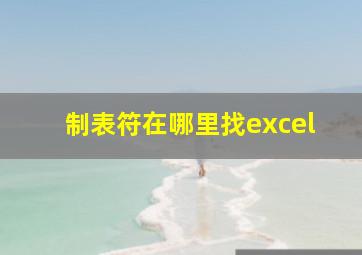 制表符在哪里找excel