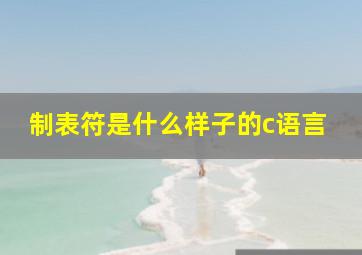 制表符是什么样子的c语言