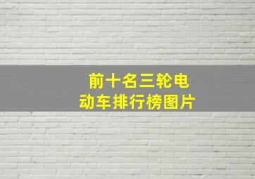 前十名三轮电动车排行榜图片