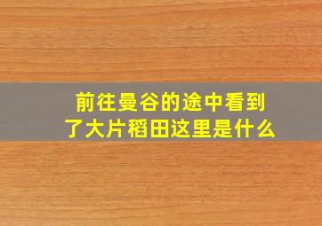 前往曼谷的途中看到了大片稻田这里是什么