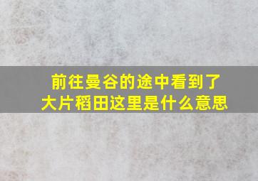 前往曼谷的途中看到了大片稻田这里是什么意思