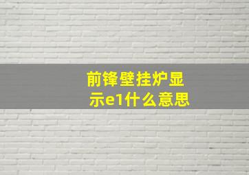 前锋壁挂炉显示e1什么意思