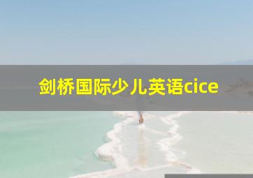 剑桥国际少儿英语cice