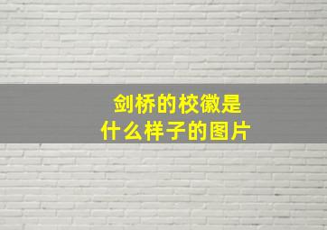 剑桥的校徽是什么样子的图片