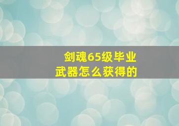 剑魂65级毕业武器怎么获得的