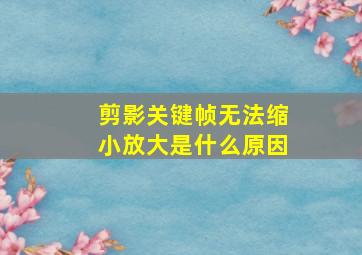 剪影关键帧无法缩小放大是什么原因