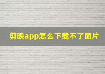 剪映app怎么下载不了图片