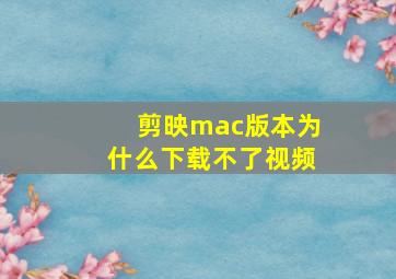 剪映mac版本为什么下载不了视频