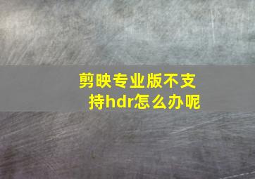 剪映专业版不支持hdr怎么办呢