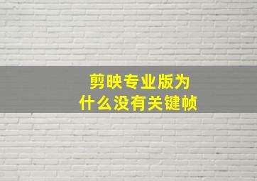 剪映专业版为什么没有关键帧