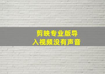 剪映专业版导入视频没有声音