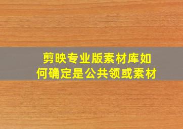 剪映专业版素材库如何确定是公共领或素材