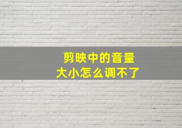 剪映中的音量大小怎么调不了