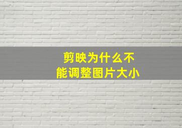 剪映为什么不能调整图片大小