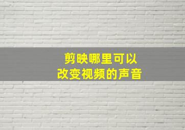 剪映哪里可以改变视频的声音