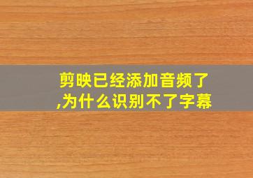 剪映已经添加音频了,为什么识别不了字幕