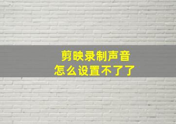 剪映录制声音怎么设置不了了