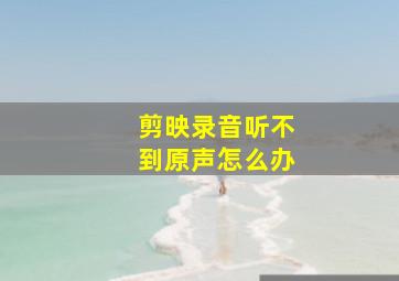 剪映录音听不到原声怎么办