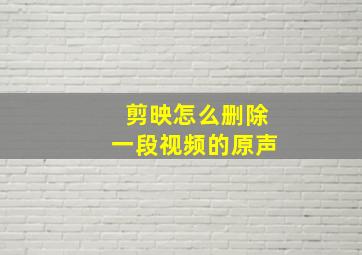 剪映怎么删除一段视频的原声