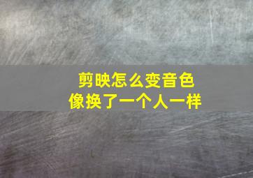 剪映怎么变音色像换了一个人一样