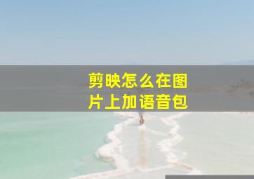 剪映怎么在图片上加语音包