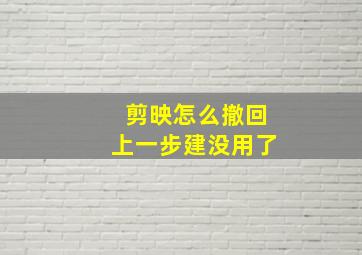 剪映怎么撤回上一步建没用了