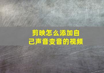 剪映怎么添加自己声音变音的视频