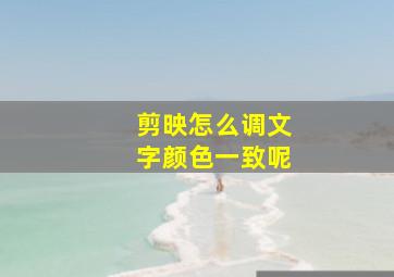 剪映怎么调文字颜色一致呢