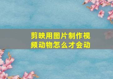 剪映用图片制作视频动物怎么才会动